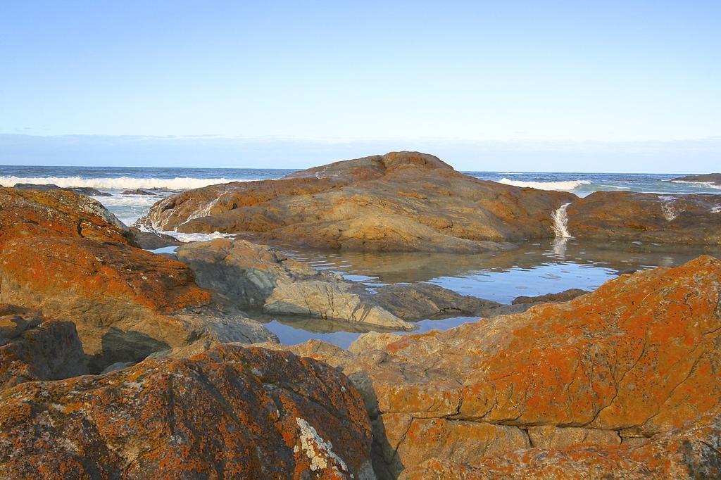 Saltwater - Absolute Oceanfront, Fire Pits, Some Villas With Hot Tubs And Sauna Falmouth المظهر الخارجي الصورة