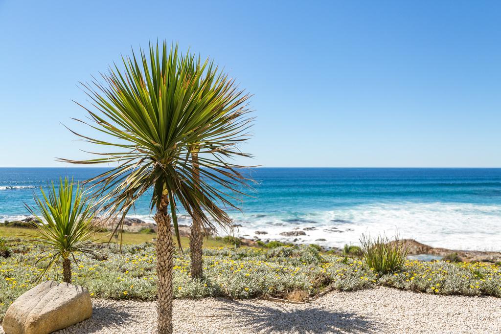 Saltwater - Absolute Oceanfront, Fire Pits, Some Villas With Hot Tubs And Sauna Falmouth المظهر الخارجي الصورة